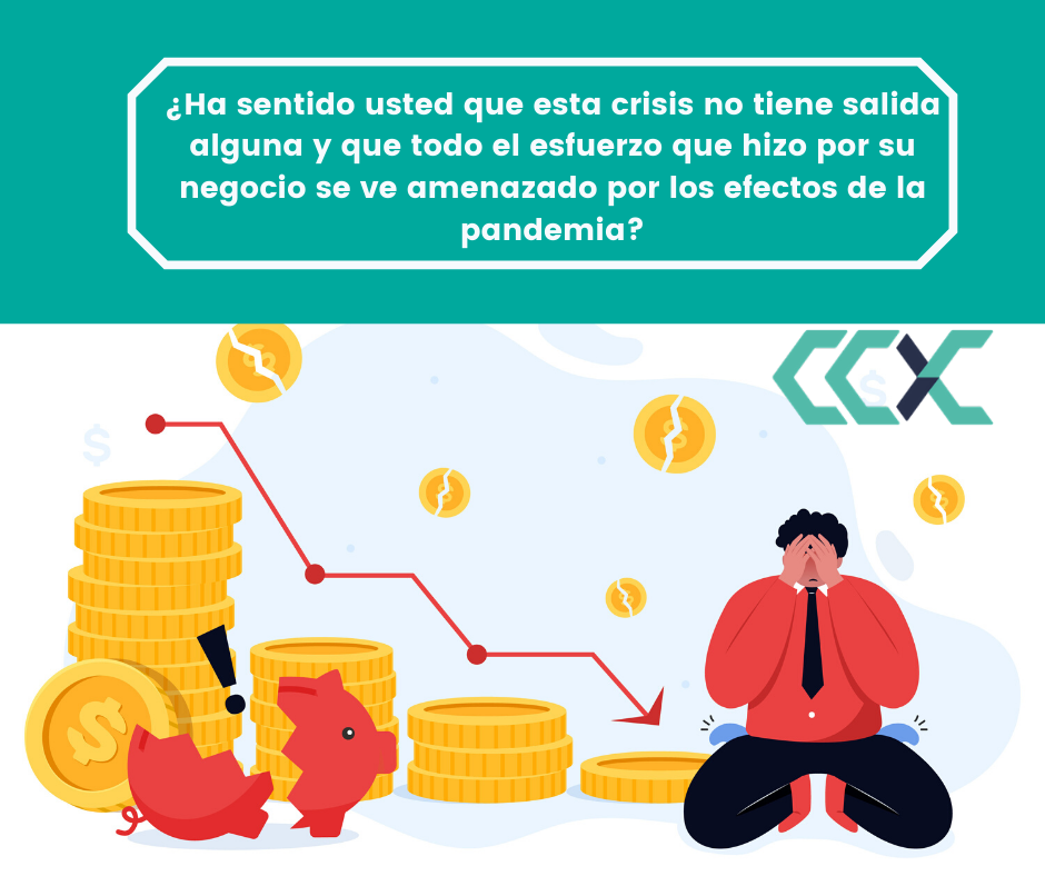 Negocios digitales
